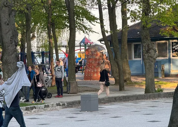 Zeromskiego 2024 Gdynia