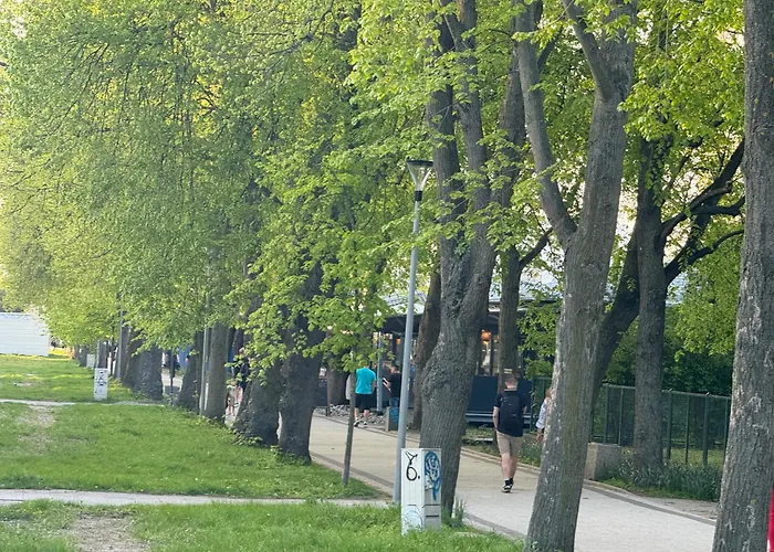 Zeromskiego 2024 Apartment